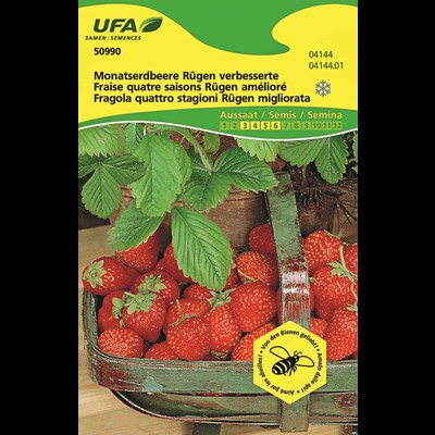 Erdbeeren Monats Rügen UFA