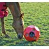 Happy Hay Play Ball pour chevaux