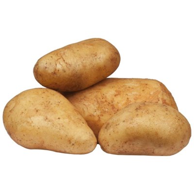 Saatkartoffeln Agata 2,5 kg