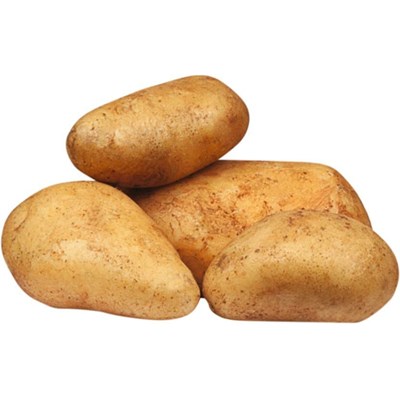 Saatkartoffeln Bio Erika 1 kg
