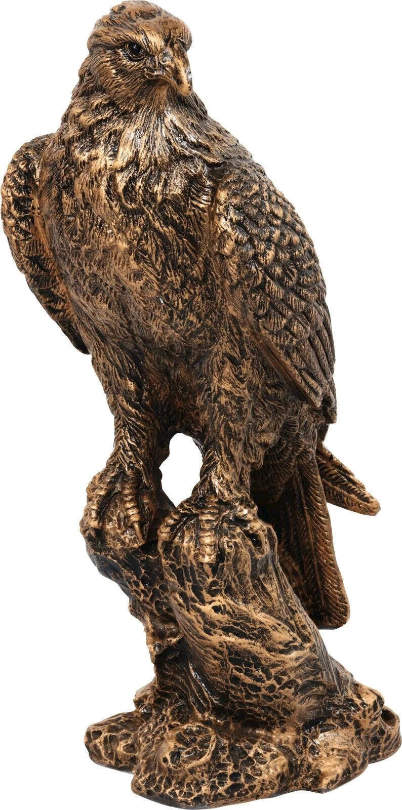 Aigle en aspect bronze