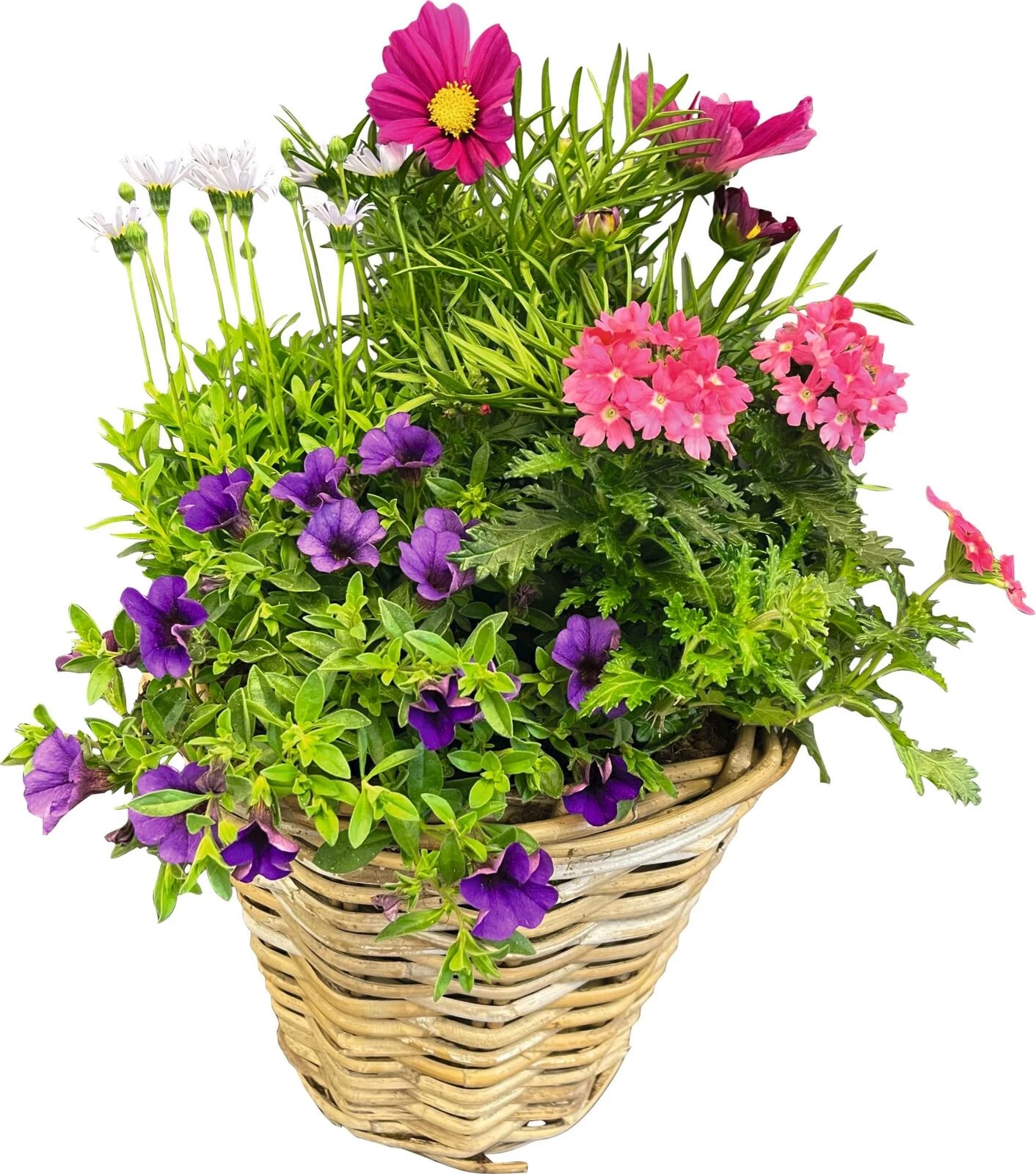 Sommerflor im Korb gross P20 cm