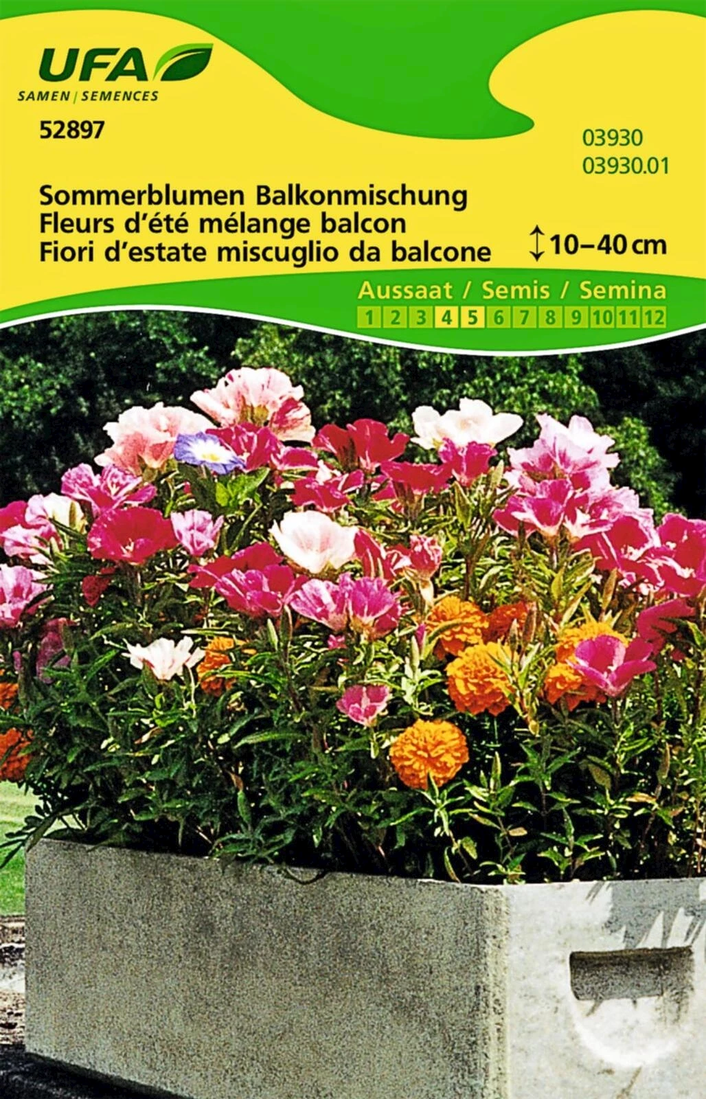 Sommerblumen Balkon Mix UFA