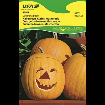 Courge Halloween mascarade UFA