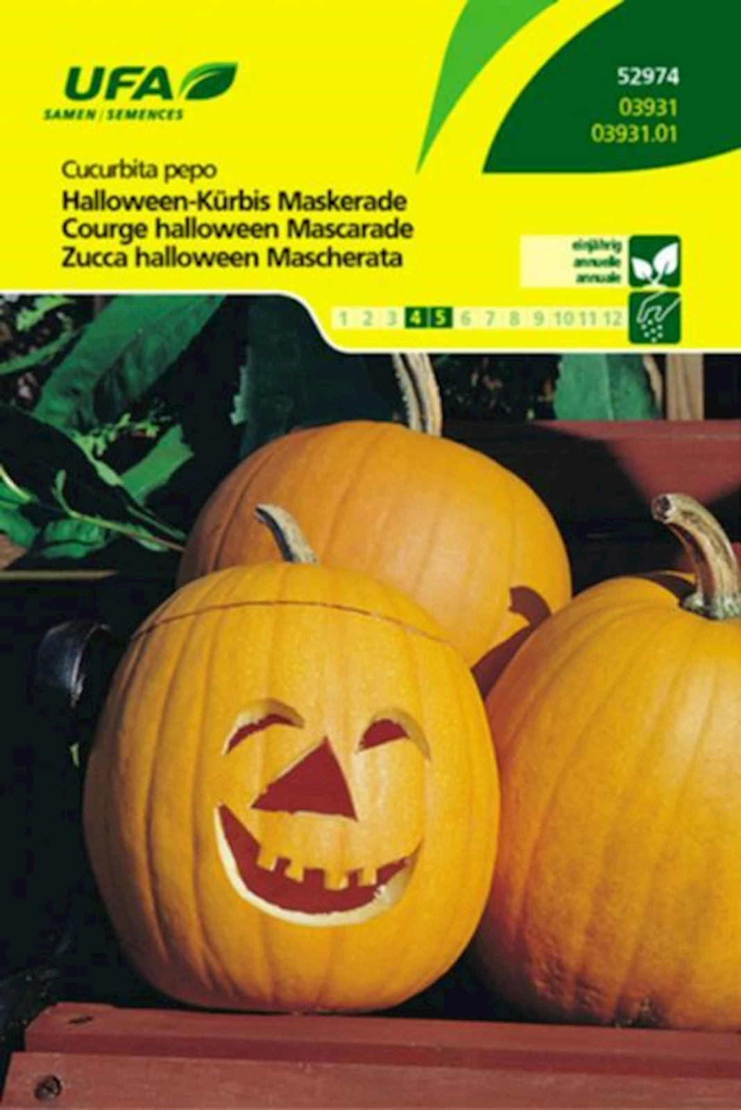 Kürbis Hallowen Maskerade UFA