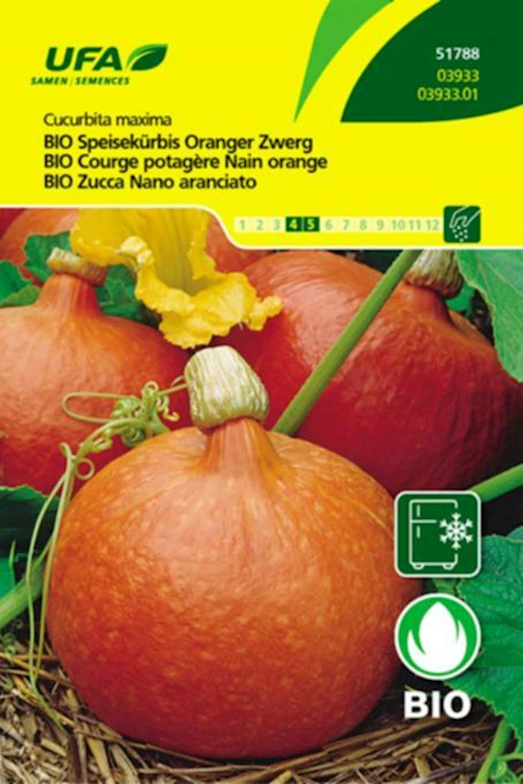 Speisekürbis Orange Zwerg BIO-K UFA