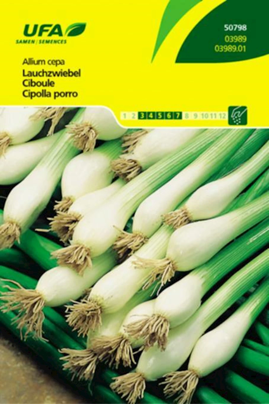 Lauchzwiebeln UFA