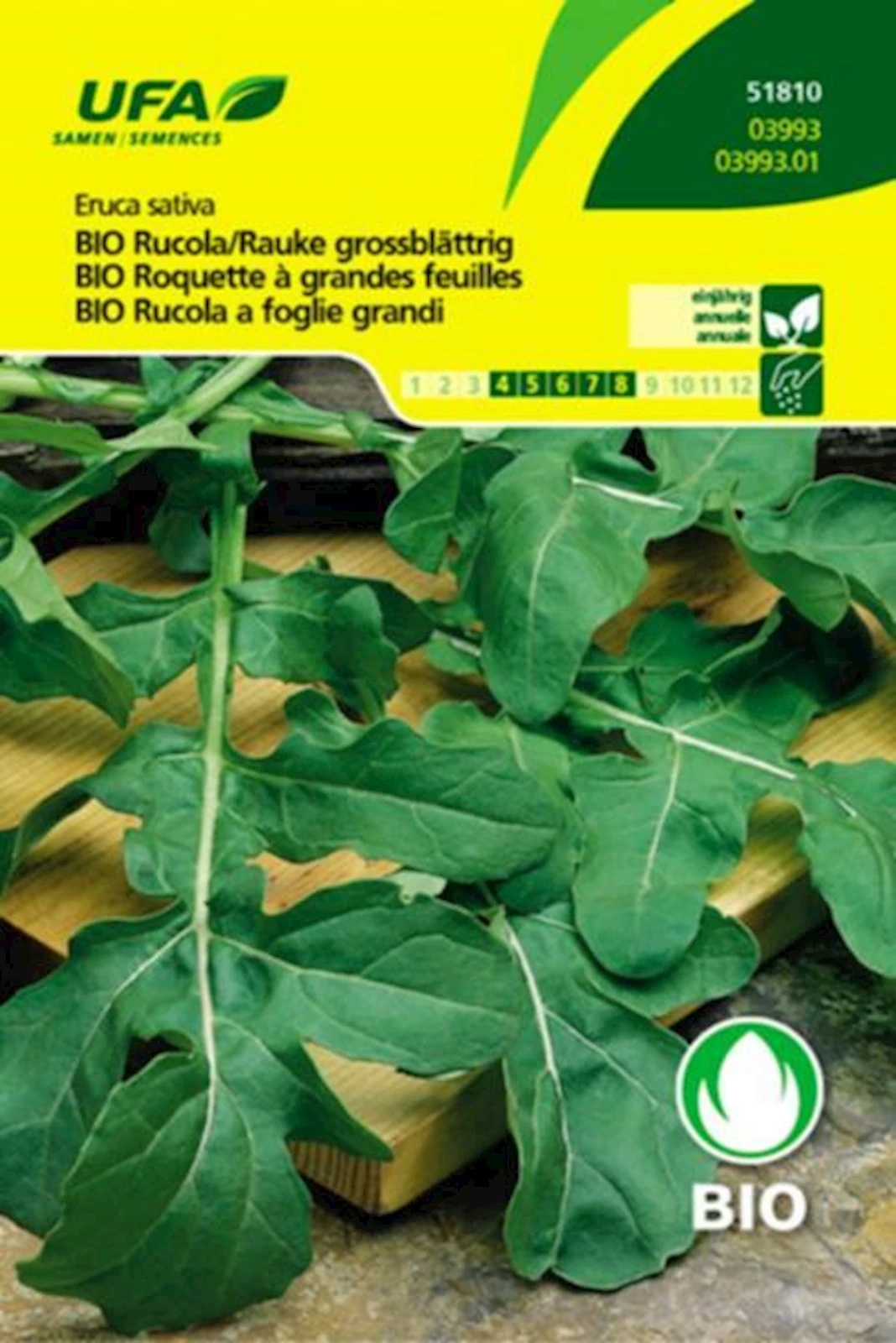 Kräuter Rucola Rauke BIO-K UFA