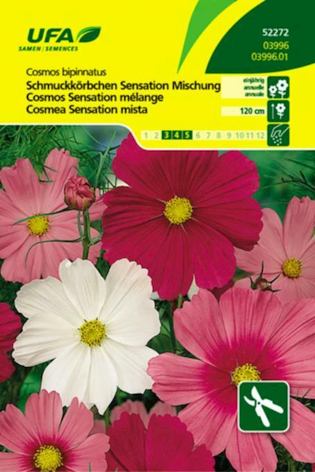 Schmuckkörbchen Sensation UFA