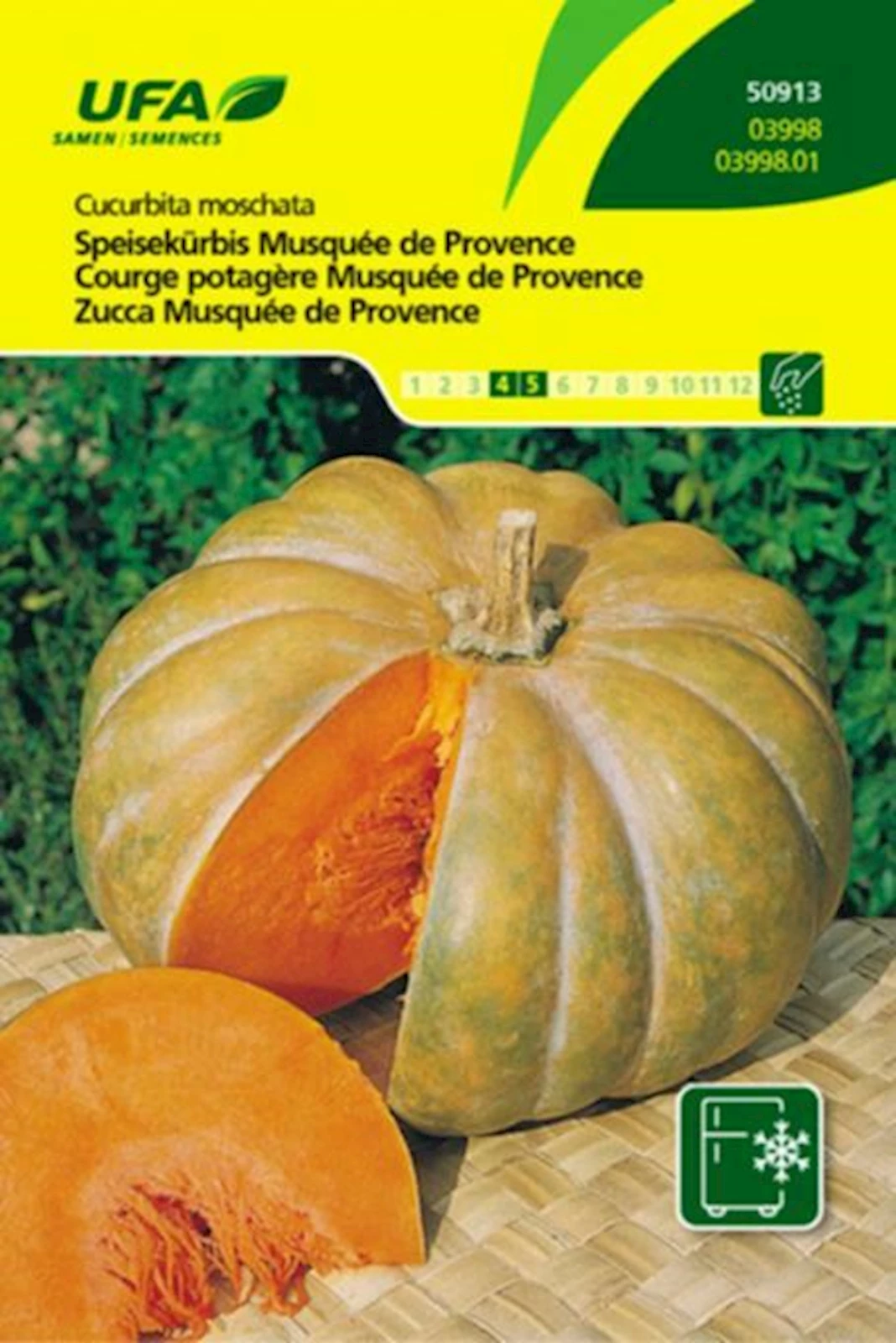 Kürbis Musquée de Provence UFA