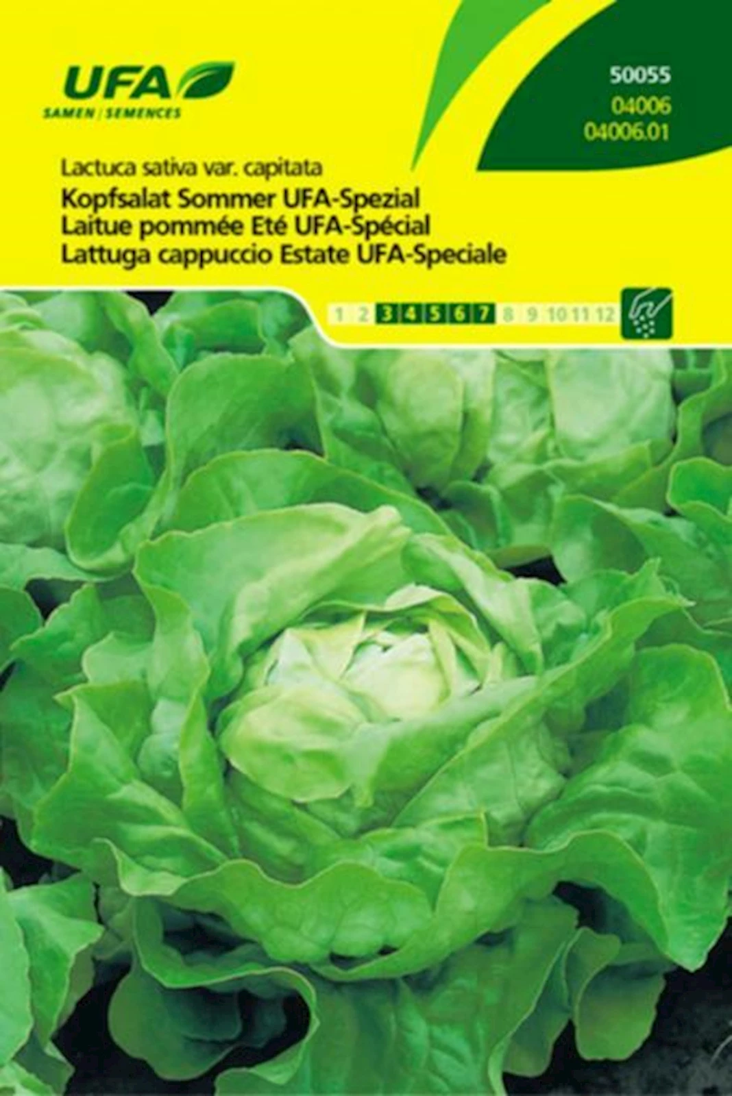 Kopfsalat Sommer Spezial UFA