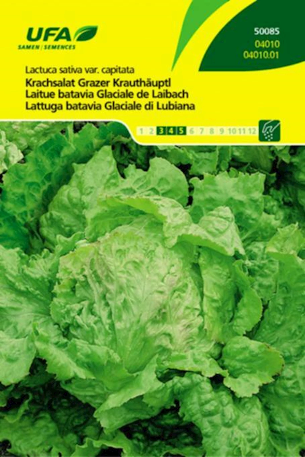 Krachsalat Grazer Kraut UFA