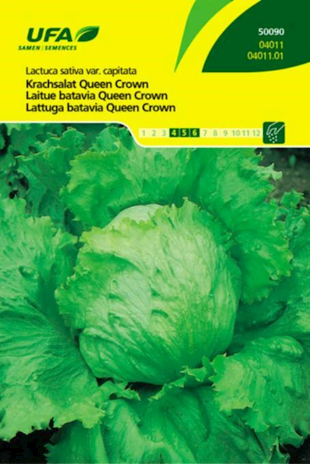 Krachsalat Queen Crown UFA