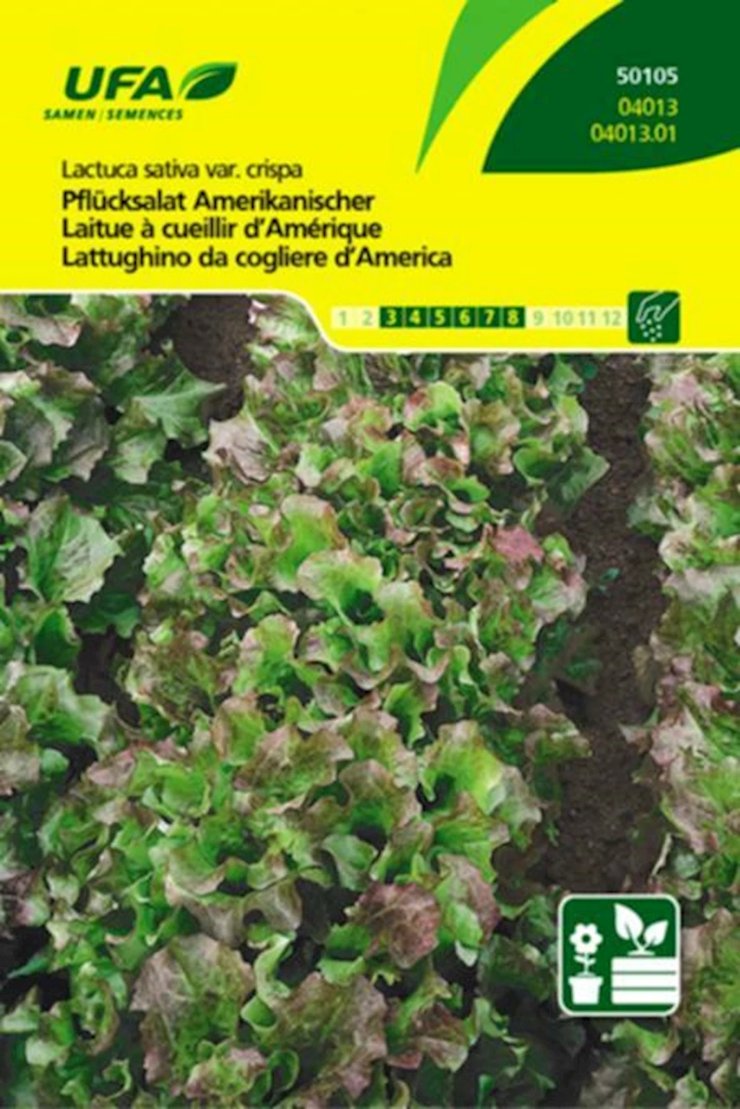 Lait.à cueillir d'Amérique UFA