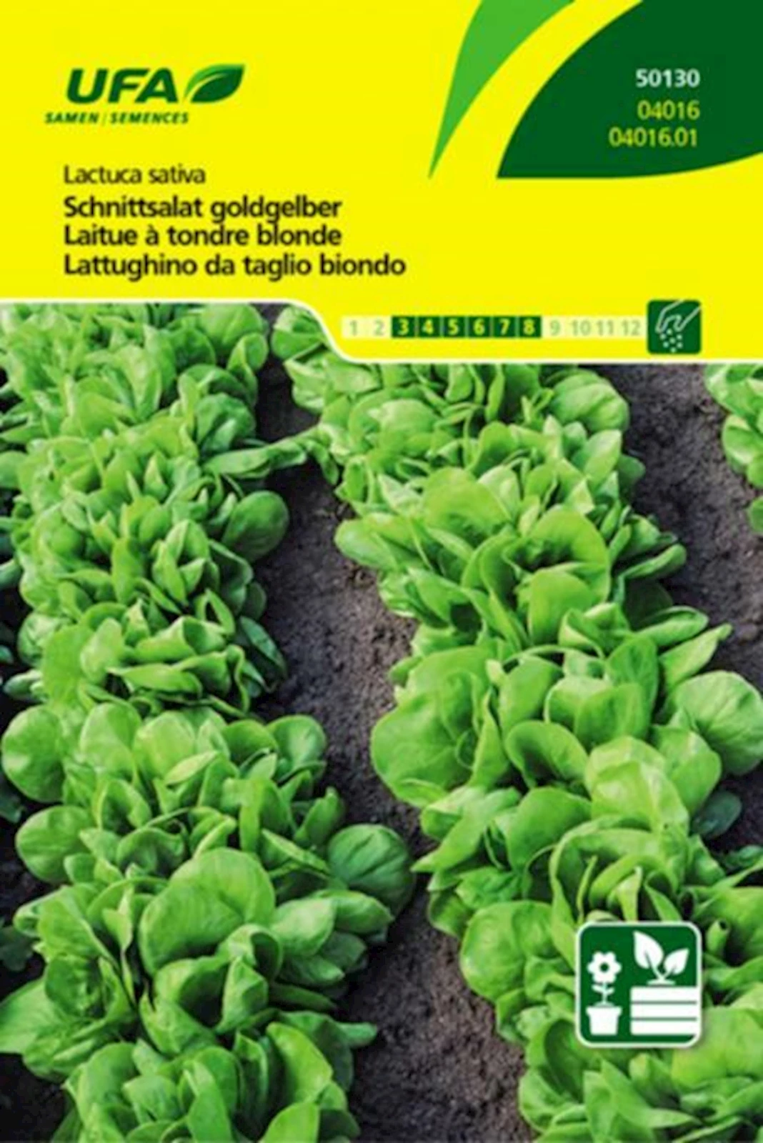 Schnittsalat Goldgelber UFA