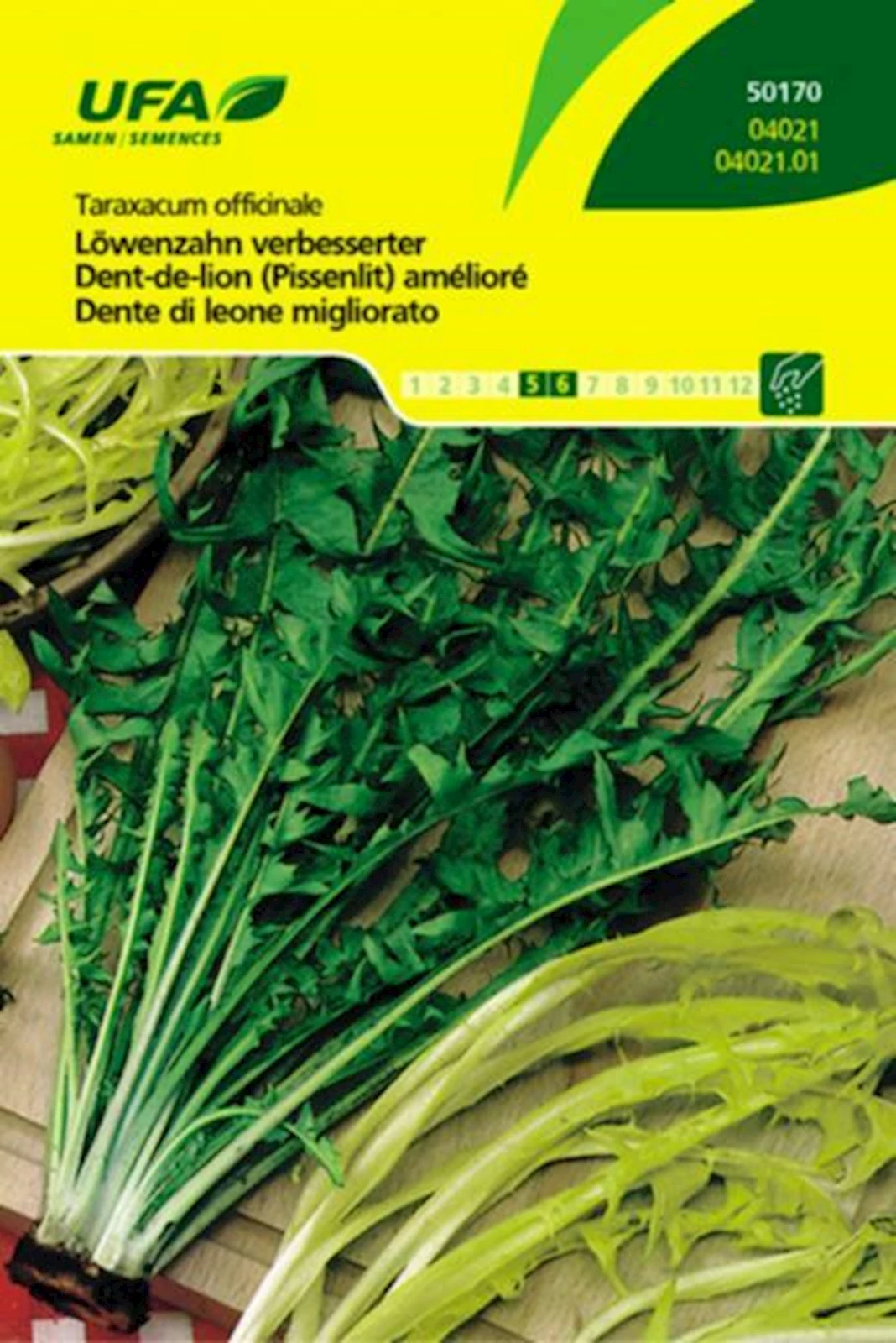 Löwenzahn Verbesserter UFA