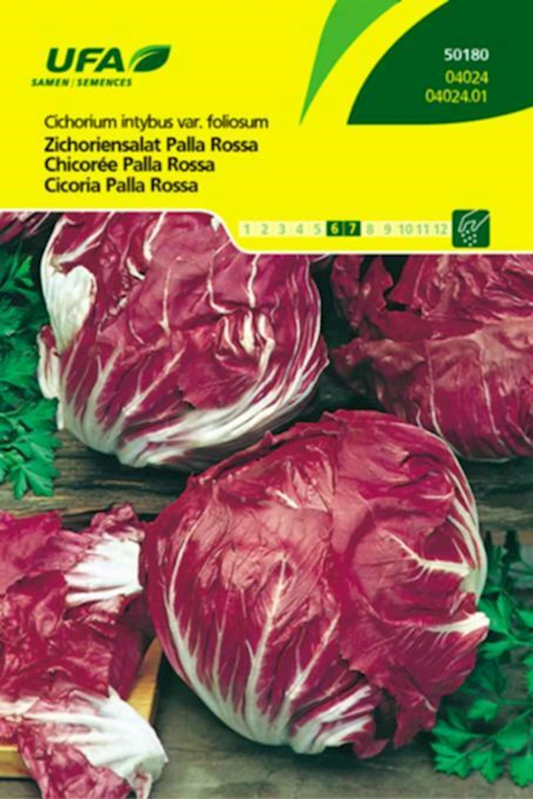 Zichoriensalat Palla Rossa UFA