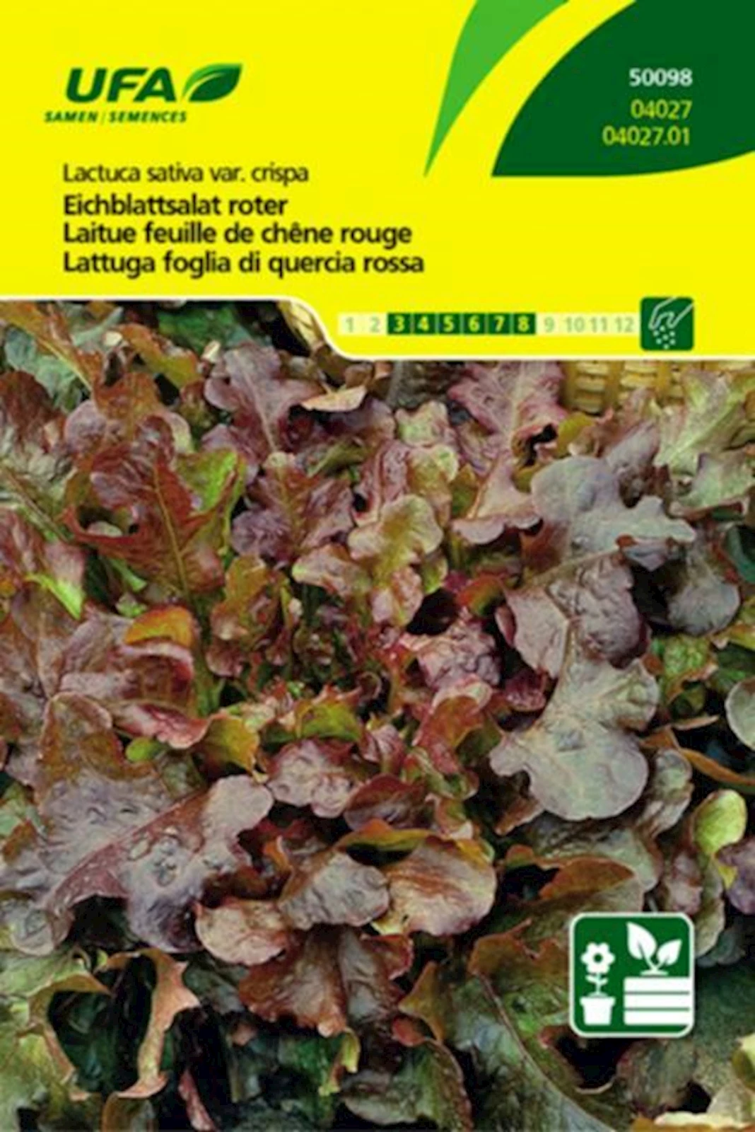 Eichblattsalat rot UFA