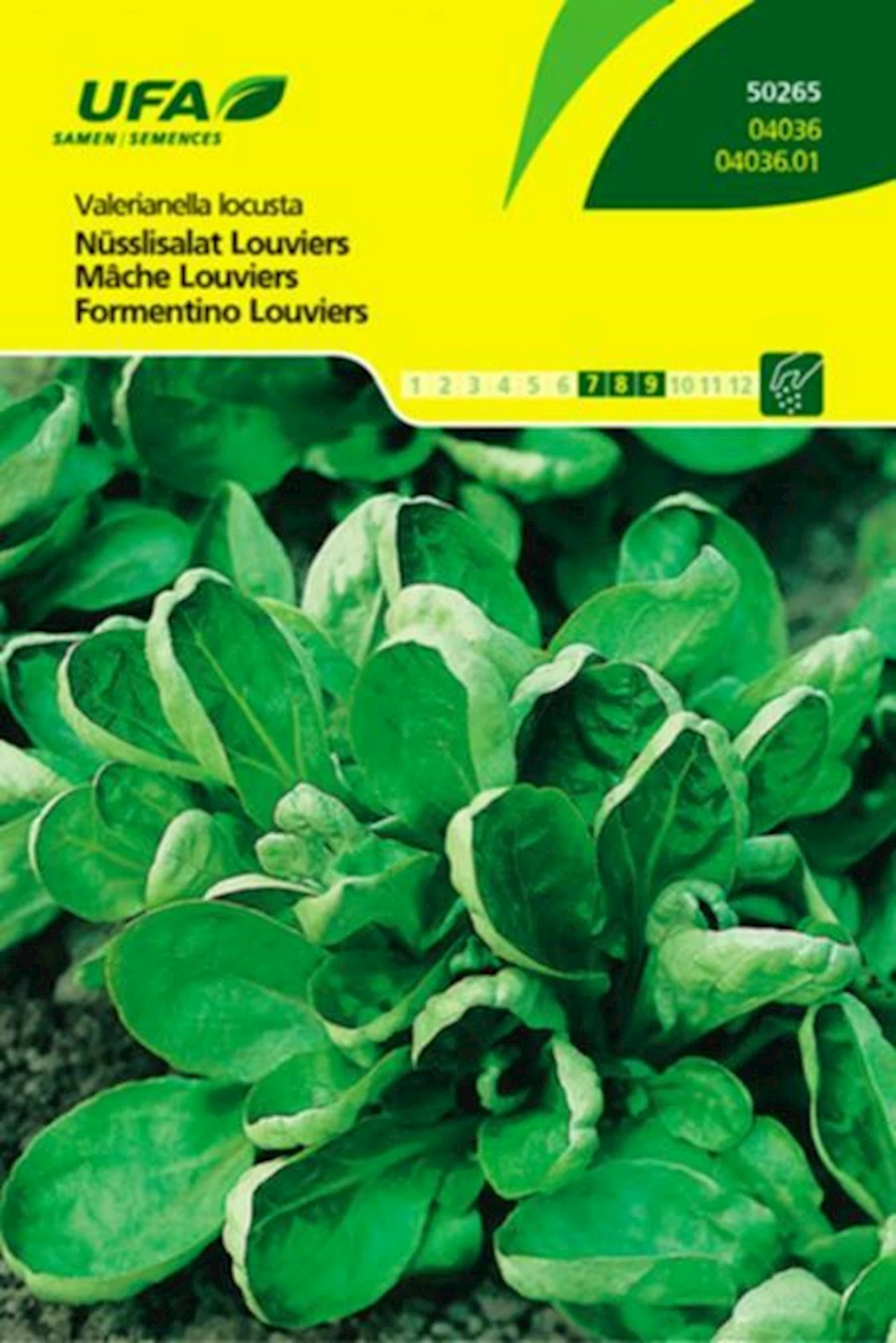 Nüsslisalat Louviers UFA