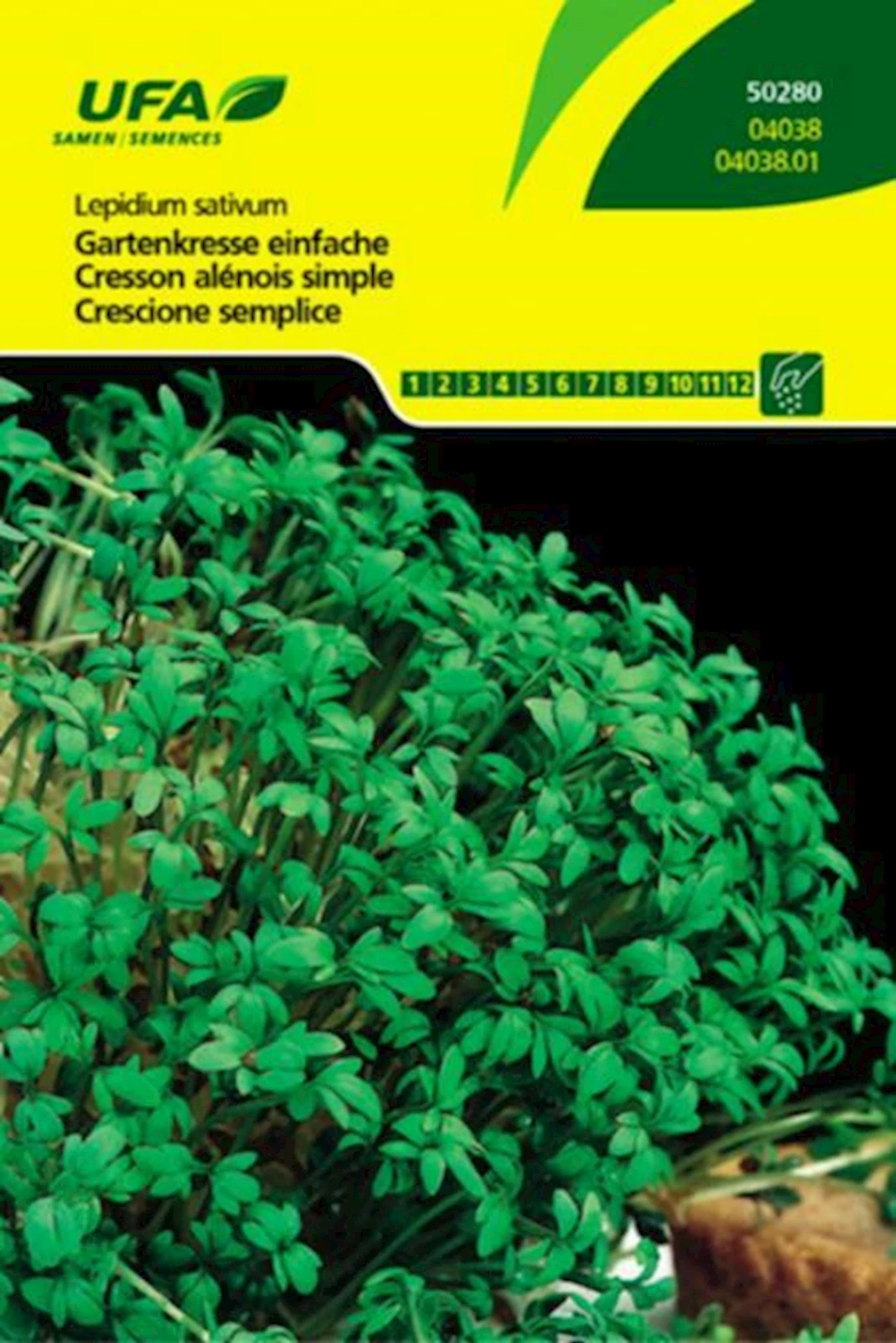 Gartenkresse einfache UFA