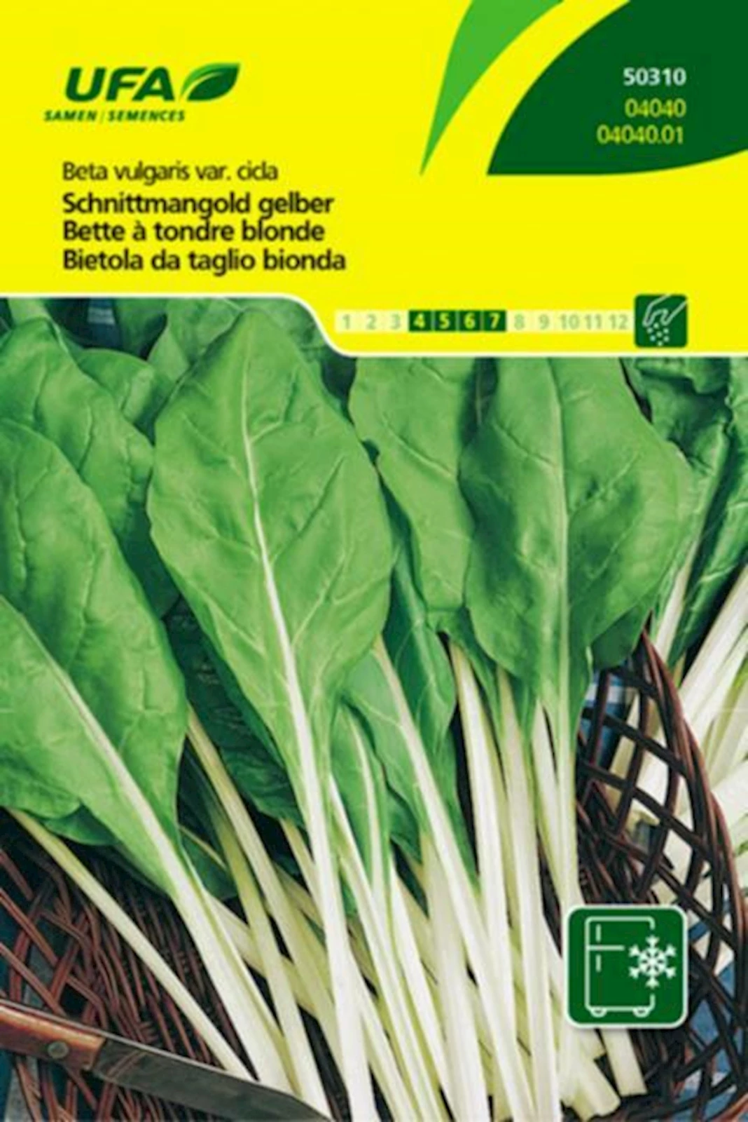 Schnittmangold gelb UFA