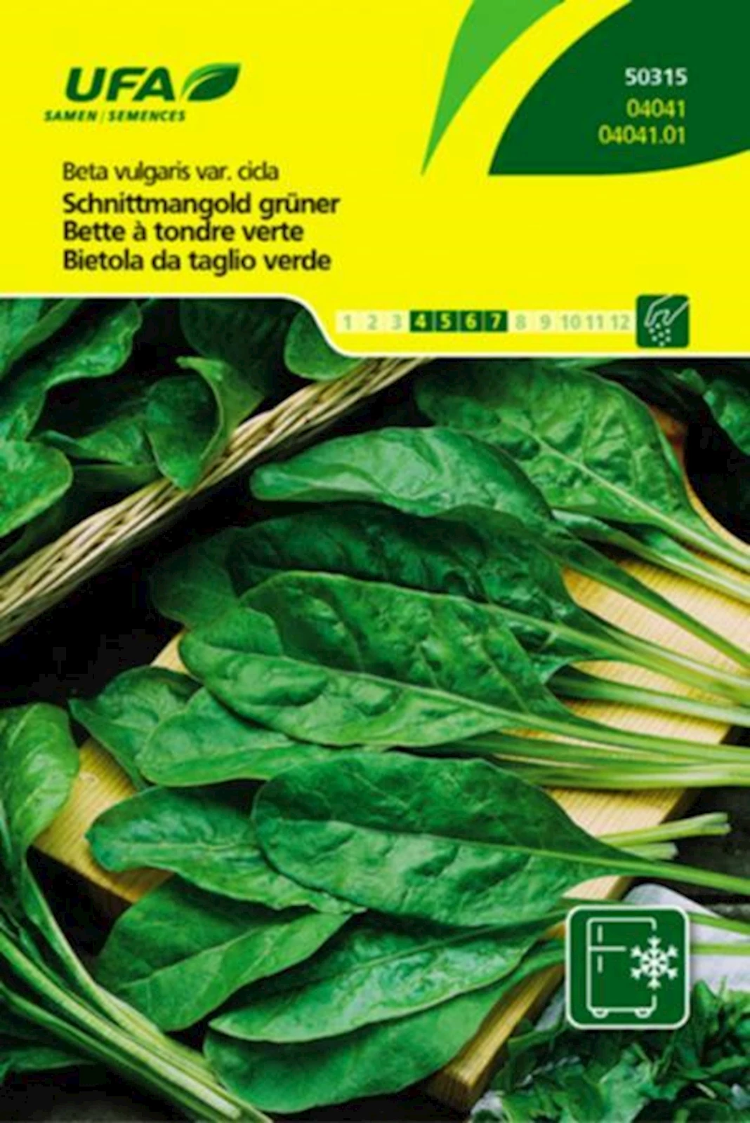 Schnittmangold grün UFA