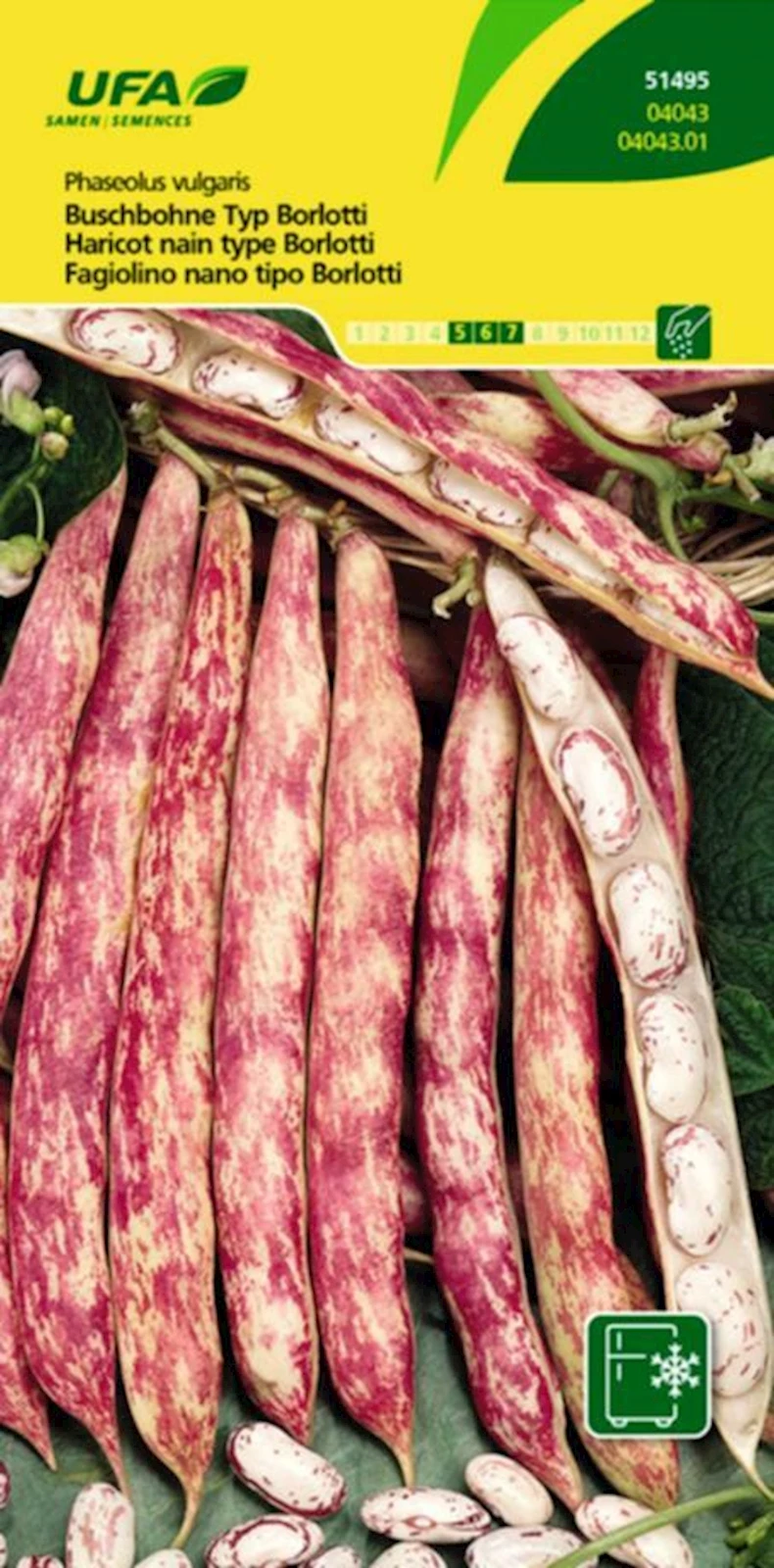 Haricots nains Borlotti UFA