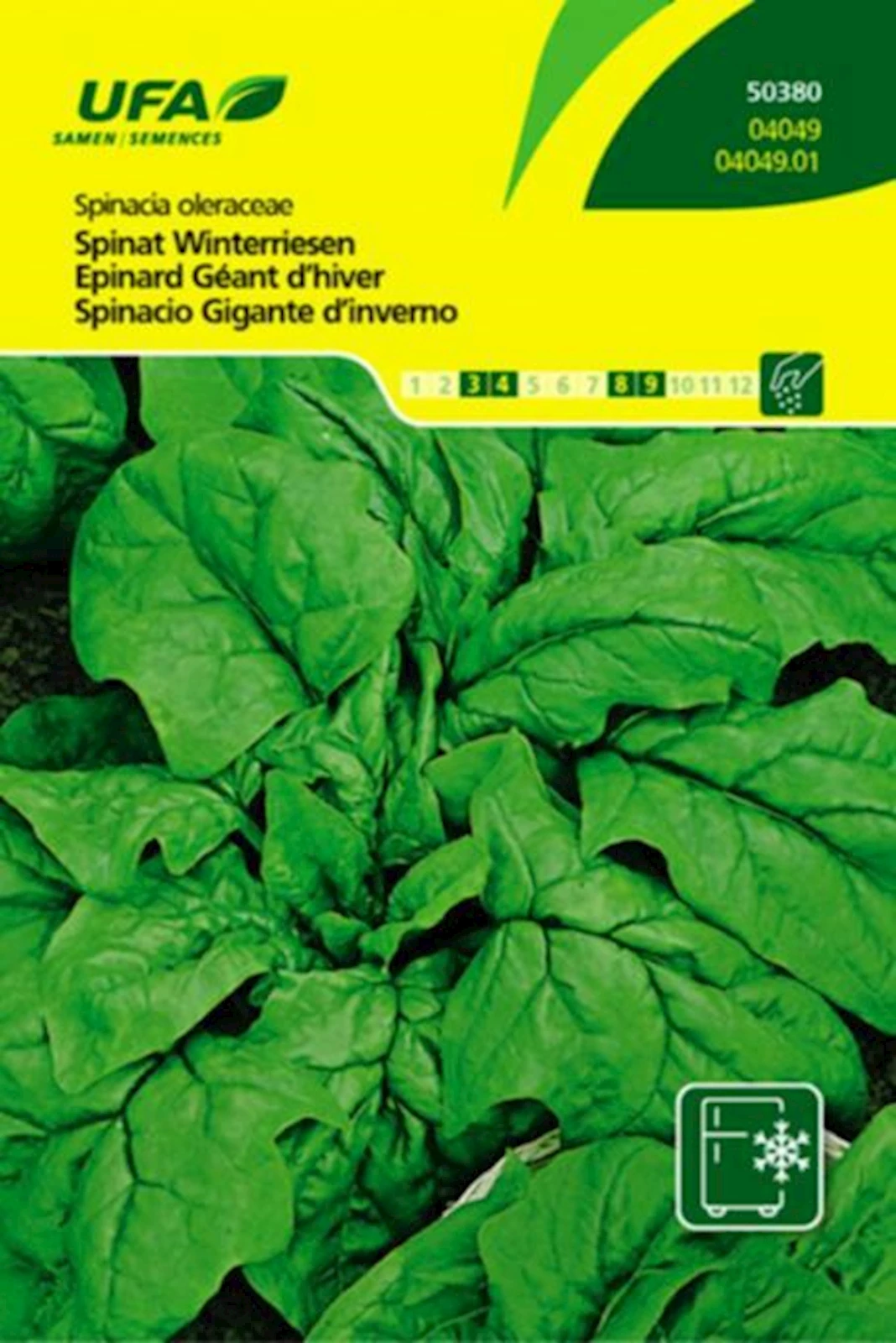 Spinat Winterriesen UFA