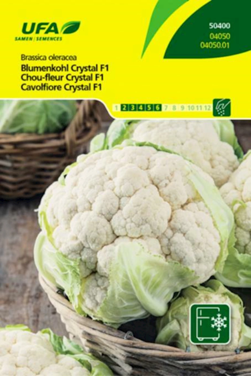 Chou-fleur crystal UFA