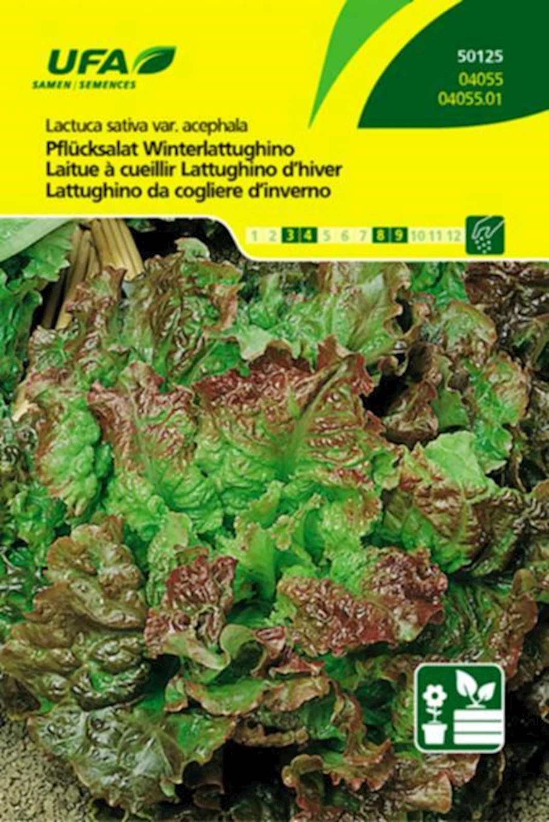 Pflücksalat Winterlattughino UFA