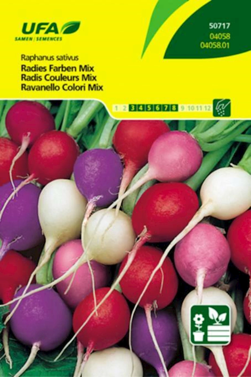 Radies Farben Mix UFA