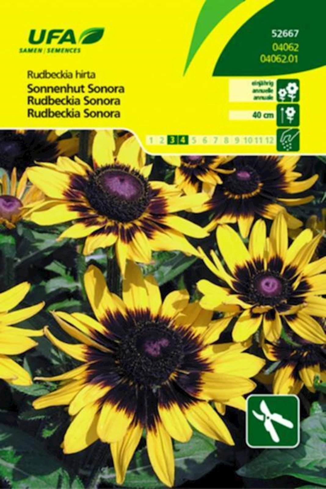 Sonnenhut Sonora UFA