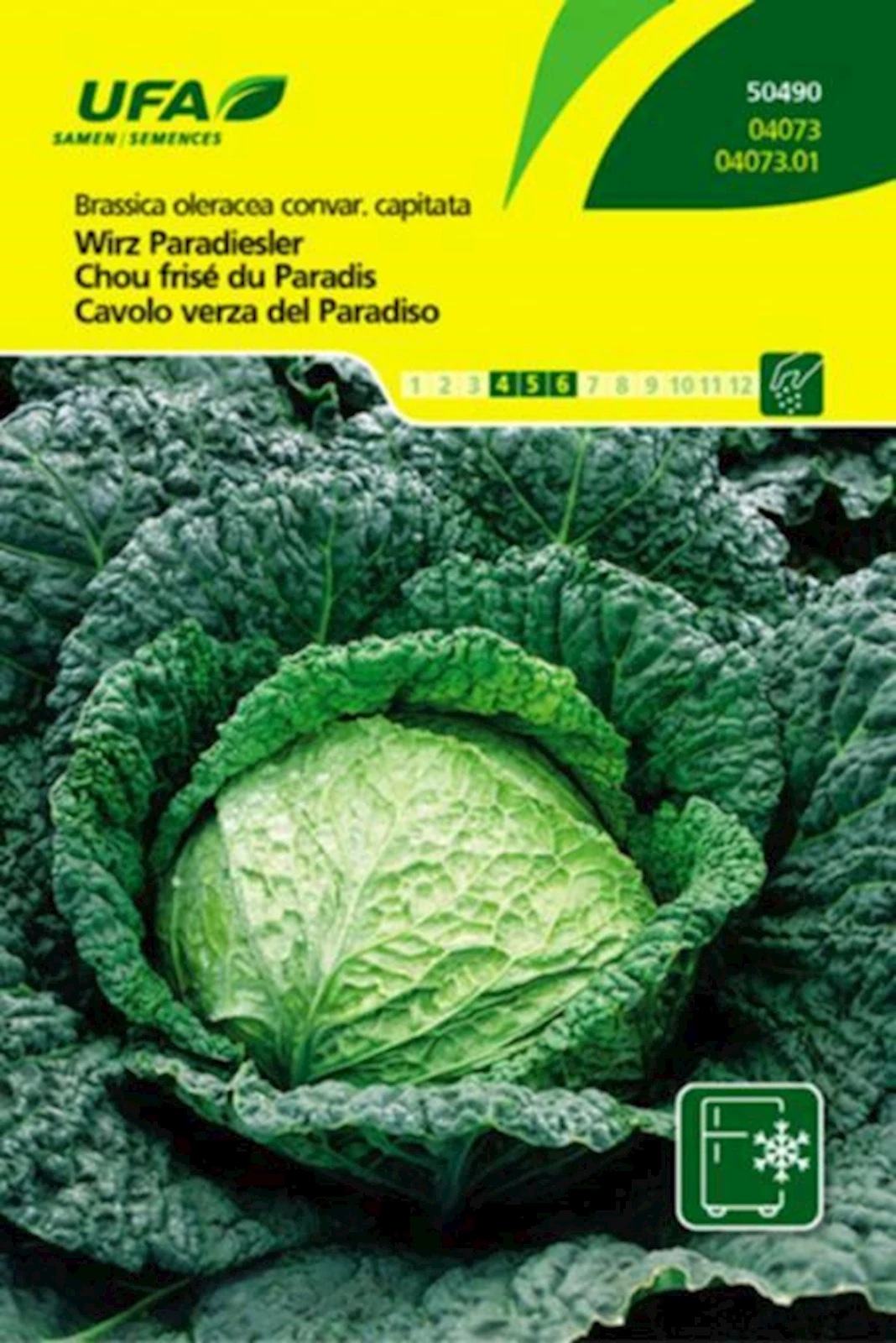 Chou frisé du paradis UFA