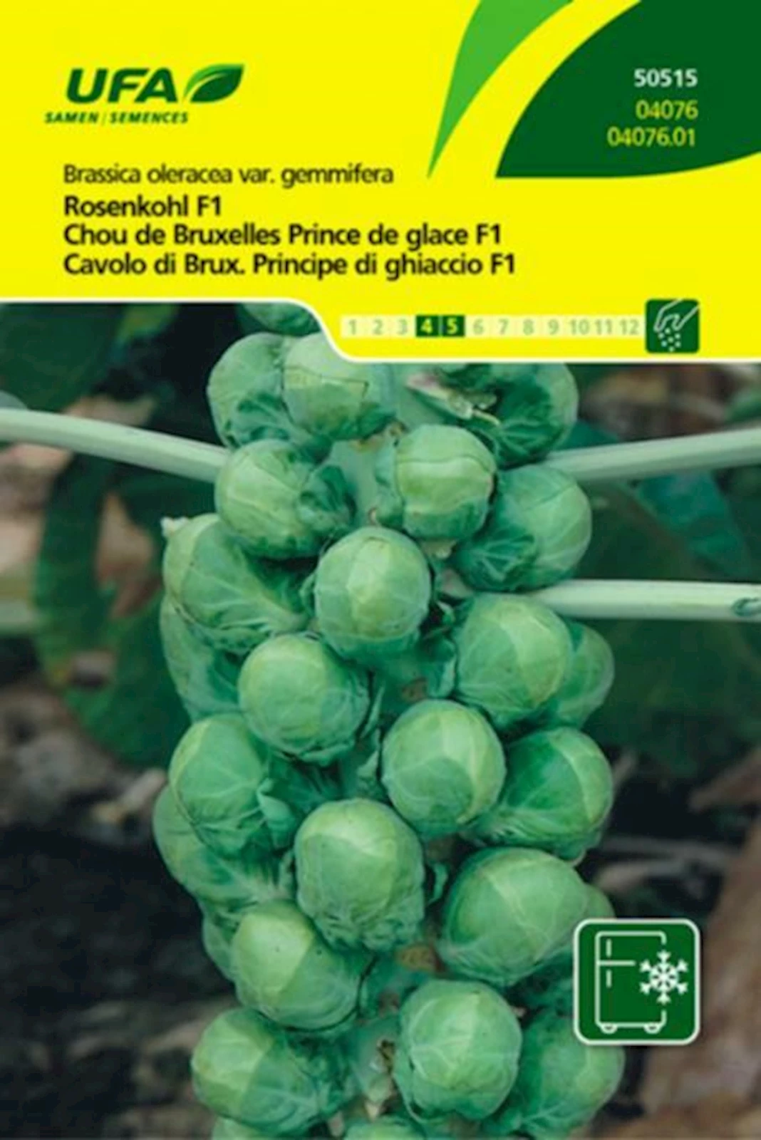 Rosenkohl Eisprinz UFA