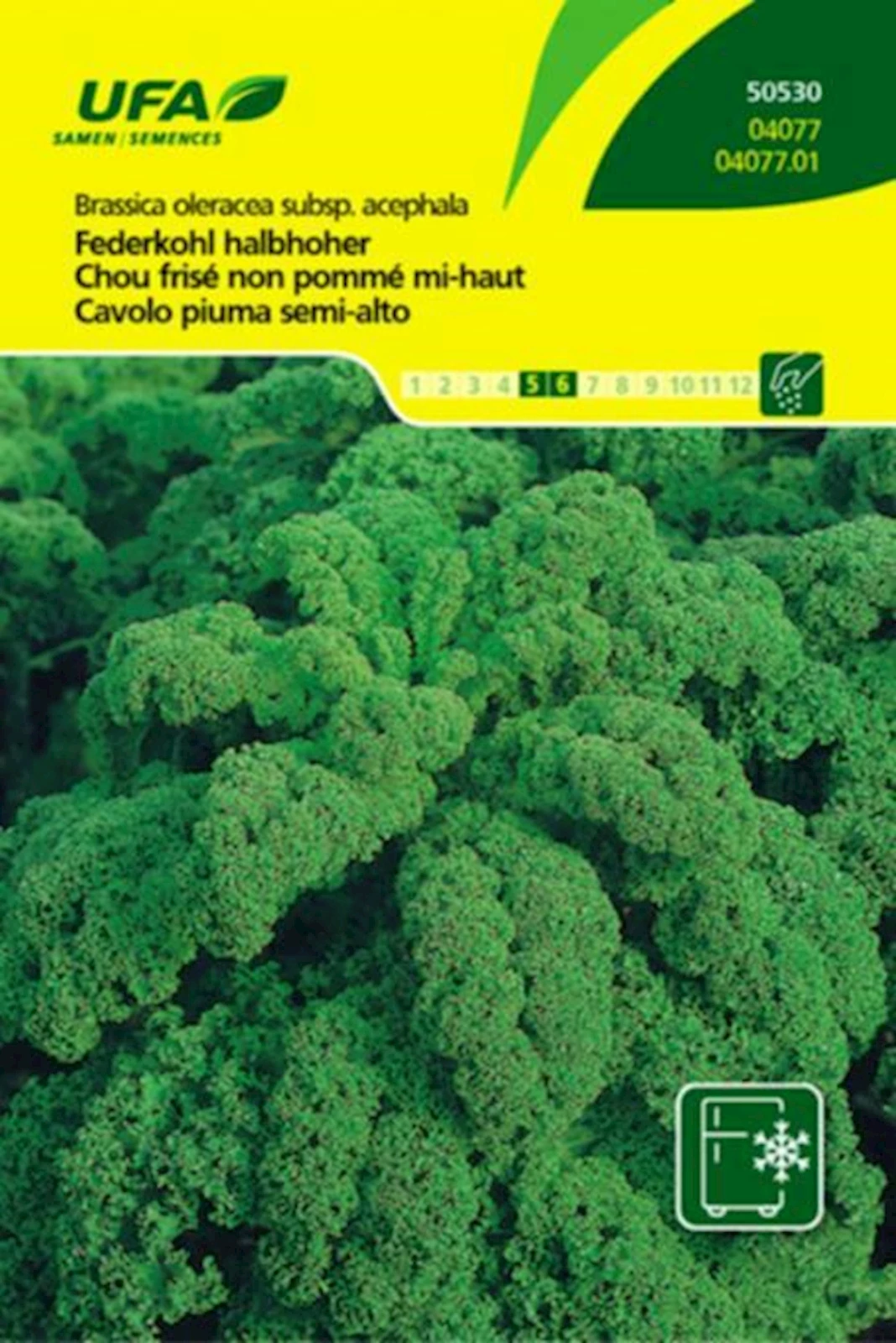 Federkohl Halbhoher UFA