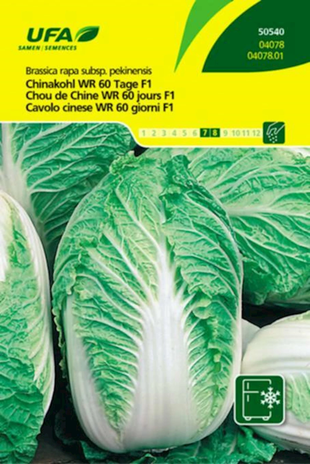 Chinakohl WR 60 Tage UFA