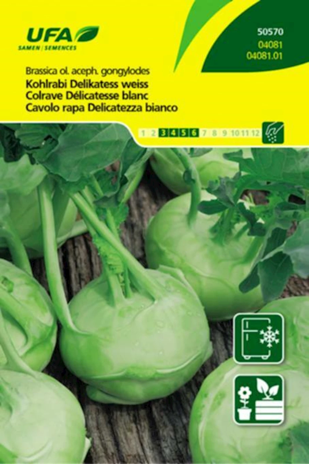 Kohlrabi Delikatess weiss UFA