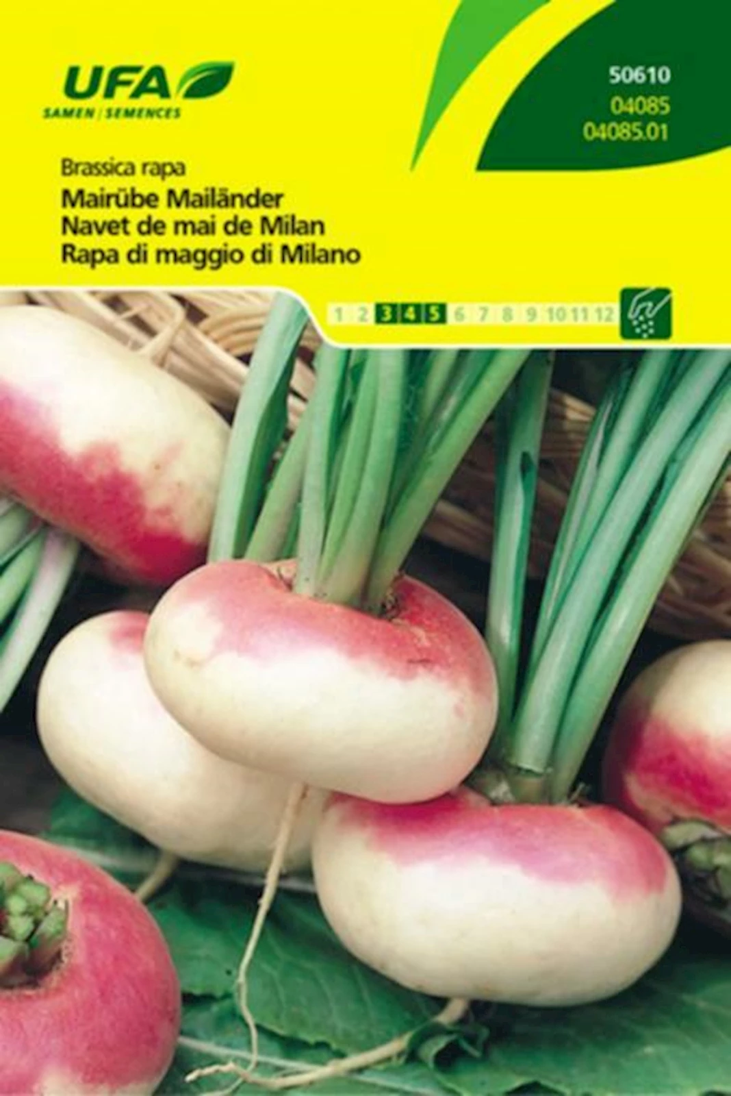 Mairüben Mailänder UFA