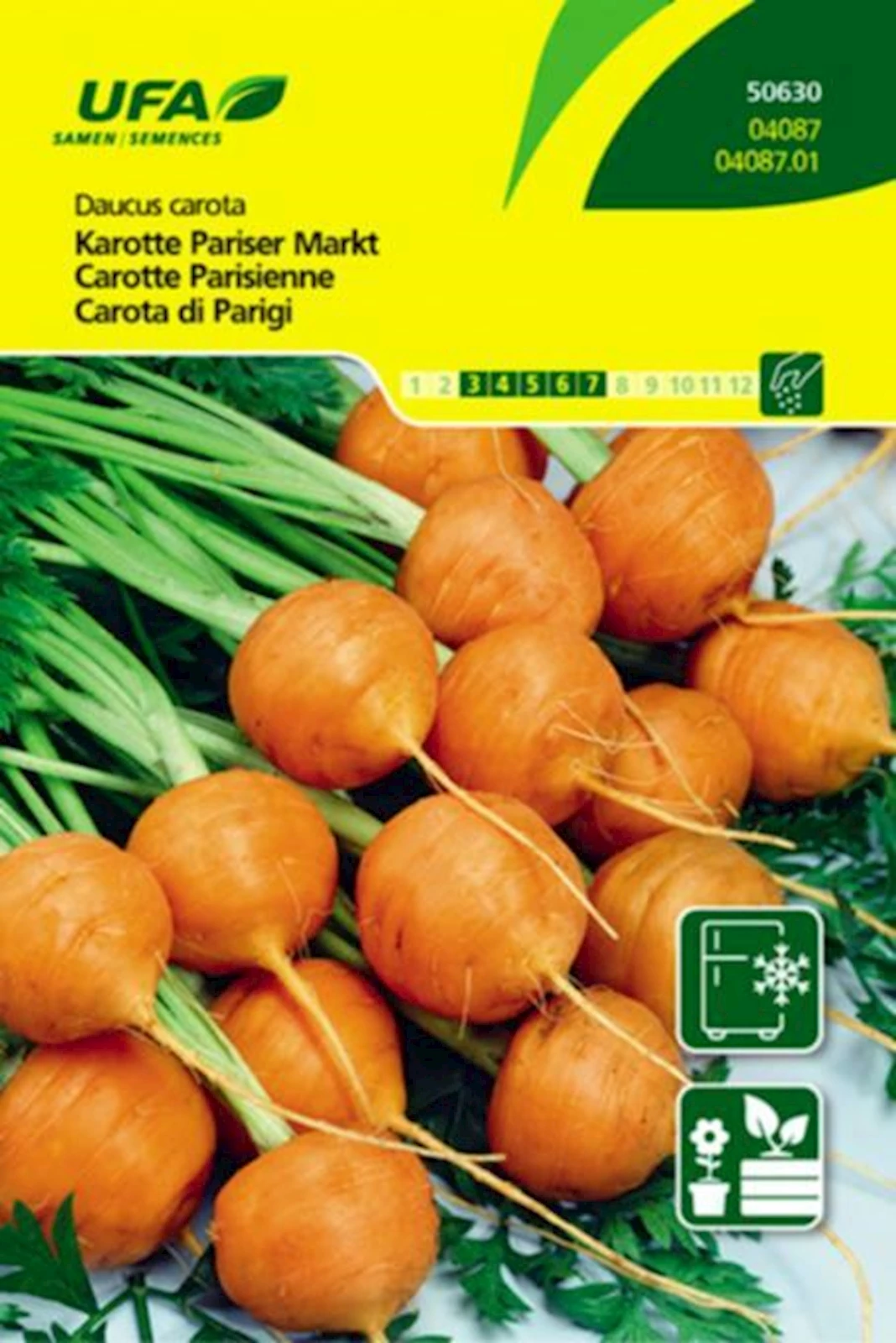 Karotten Pariser Markt UFA