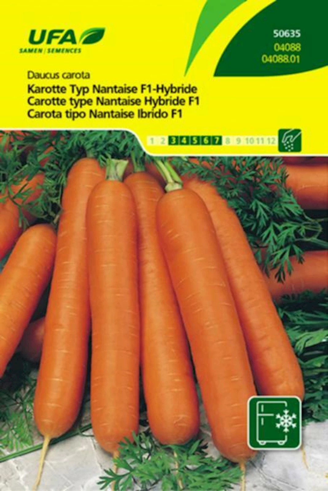 Karotten Typ Nantaise UFA