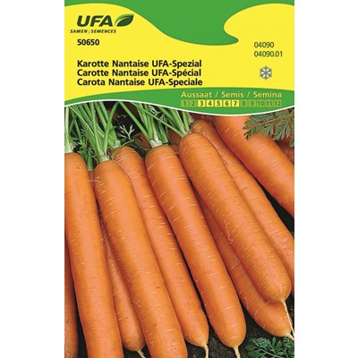 Karotten Nantaise Spezial UFA