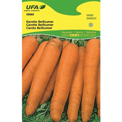 Karotten Berlicumer UFA