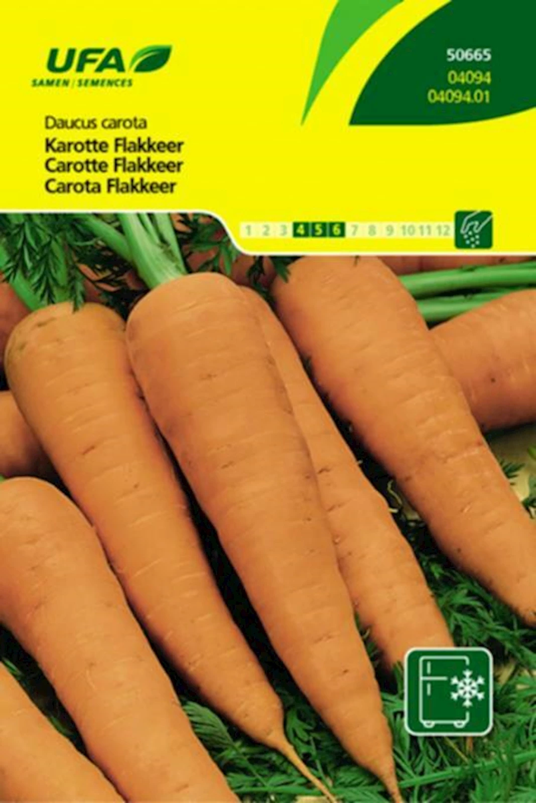 Carotte Flakkeer UFA