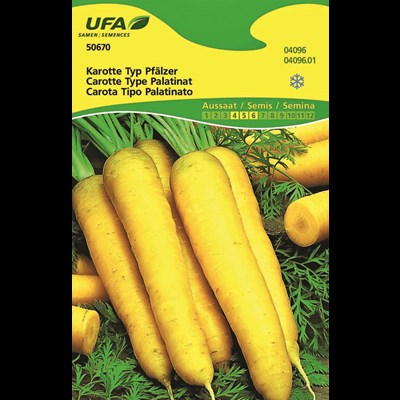 Karotten Pfälzer UFA