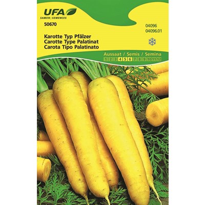 Karotten Pfälzer UFA