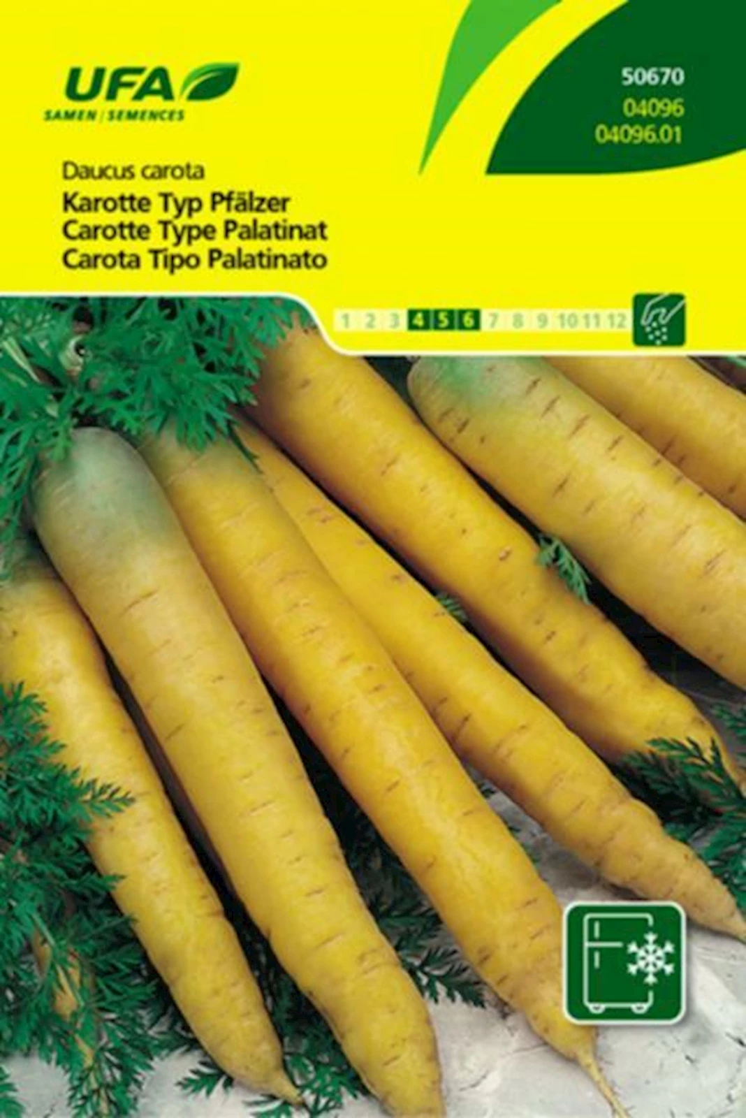 Karotten Pfälzer UFA