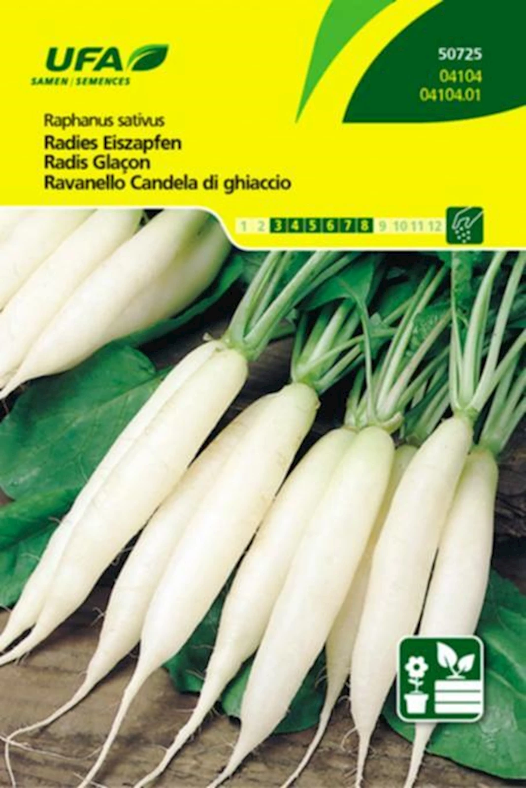 Radies Eiszapfen UFA