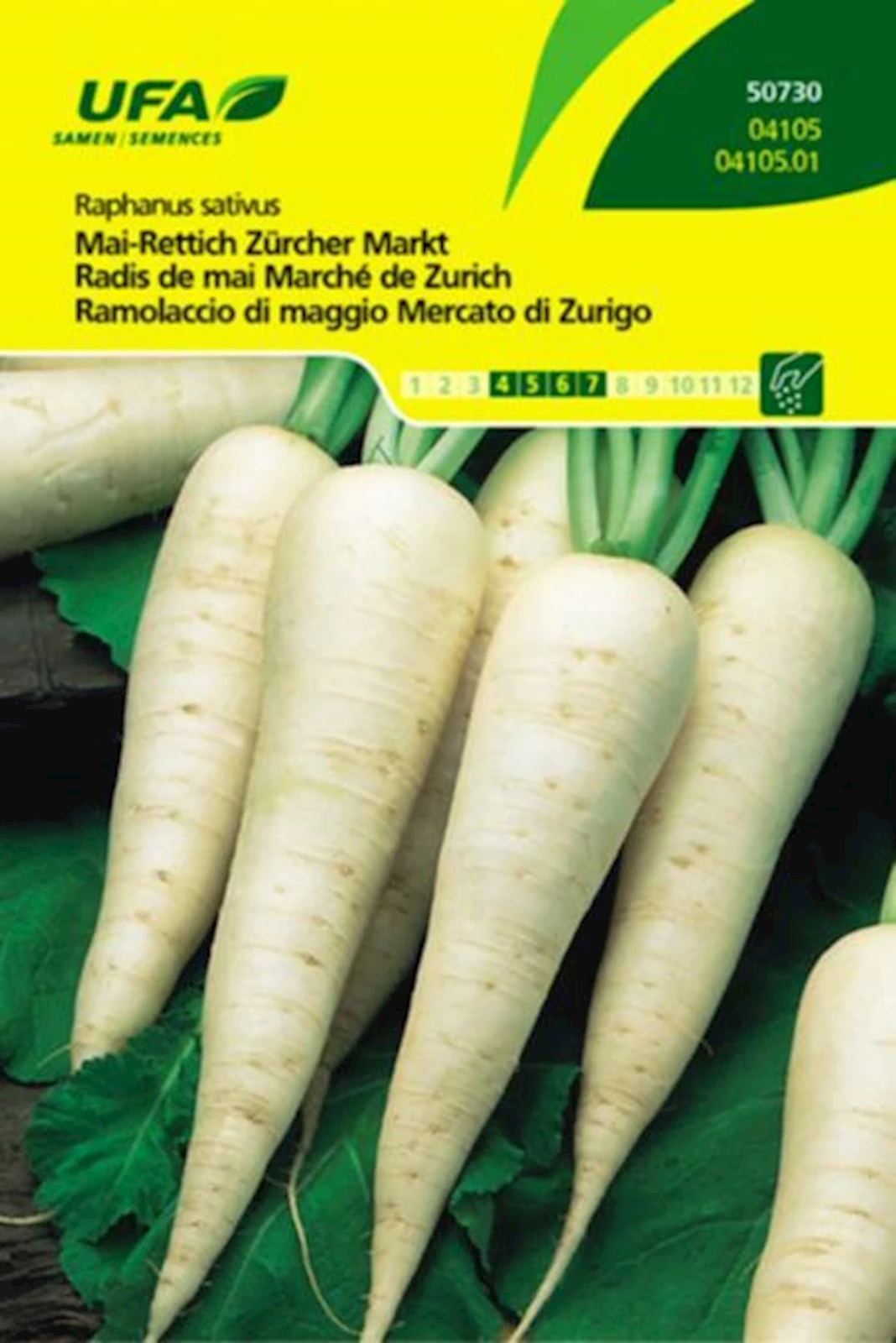 Radis de mai marché Zurich UFA