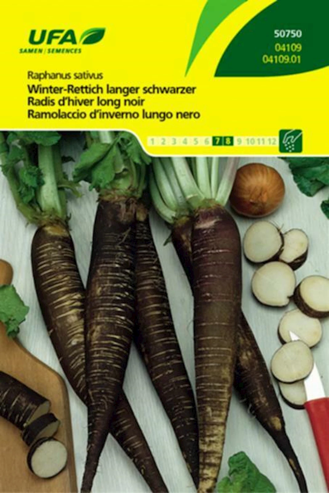 Rettich Winter UFA