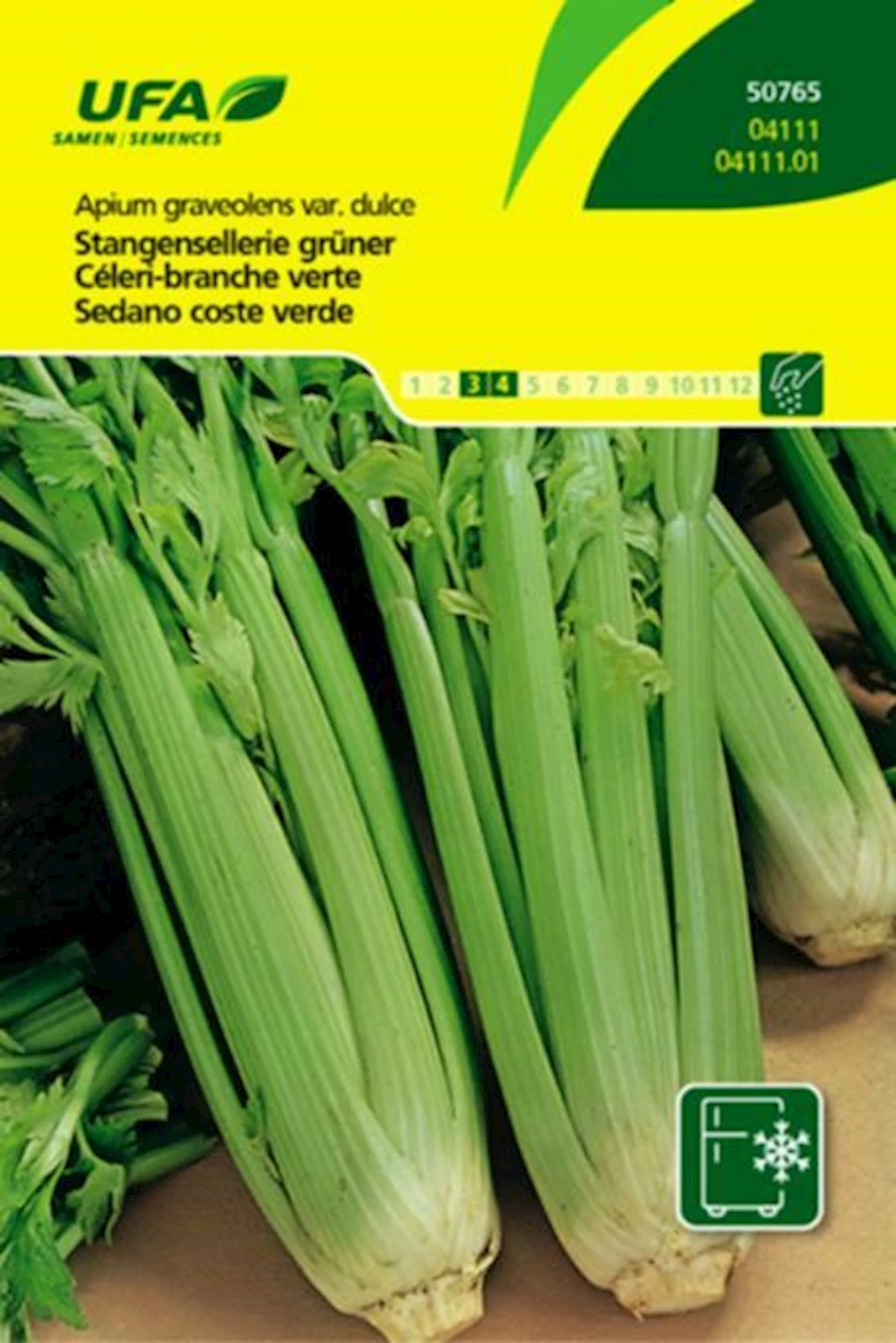 Stangensellerie grün UFA